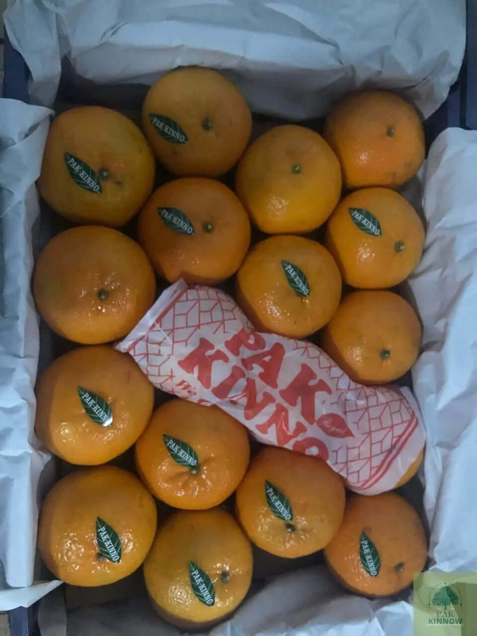 premium Kinnow - Mandarin Oranges My Store