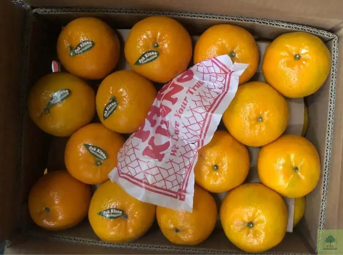 premium Kinnow - Mandarin Oranges My Store