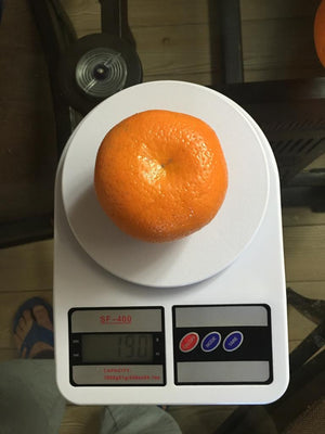 Premium Kinnow Mandarin Oranges