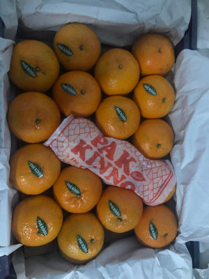 Premium Kinnow Mandarin Oranges