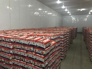 Premium Kinnow Mandarin Oranges